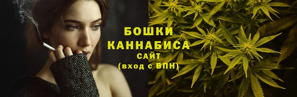 гидра Переславль-Залесский