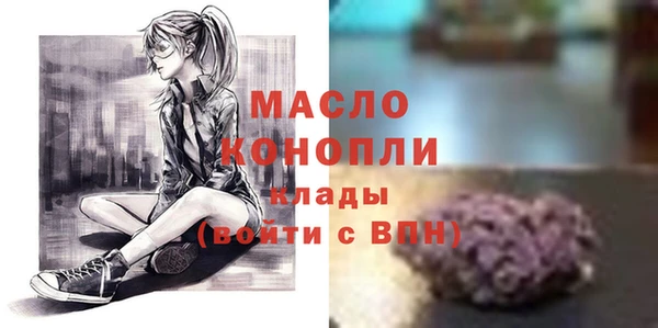 молекула духа Пестово