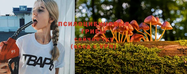 гидра Переславль-Залесский