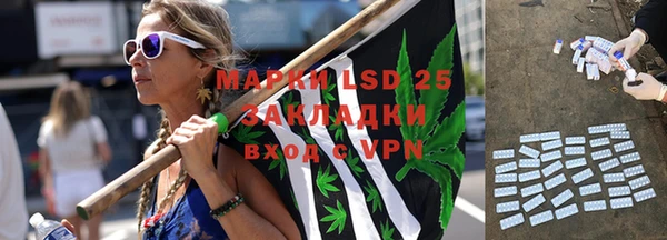 мяу мяу мука Баксан
