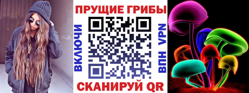Псилоцибиновые грибы мицелий Озёры